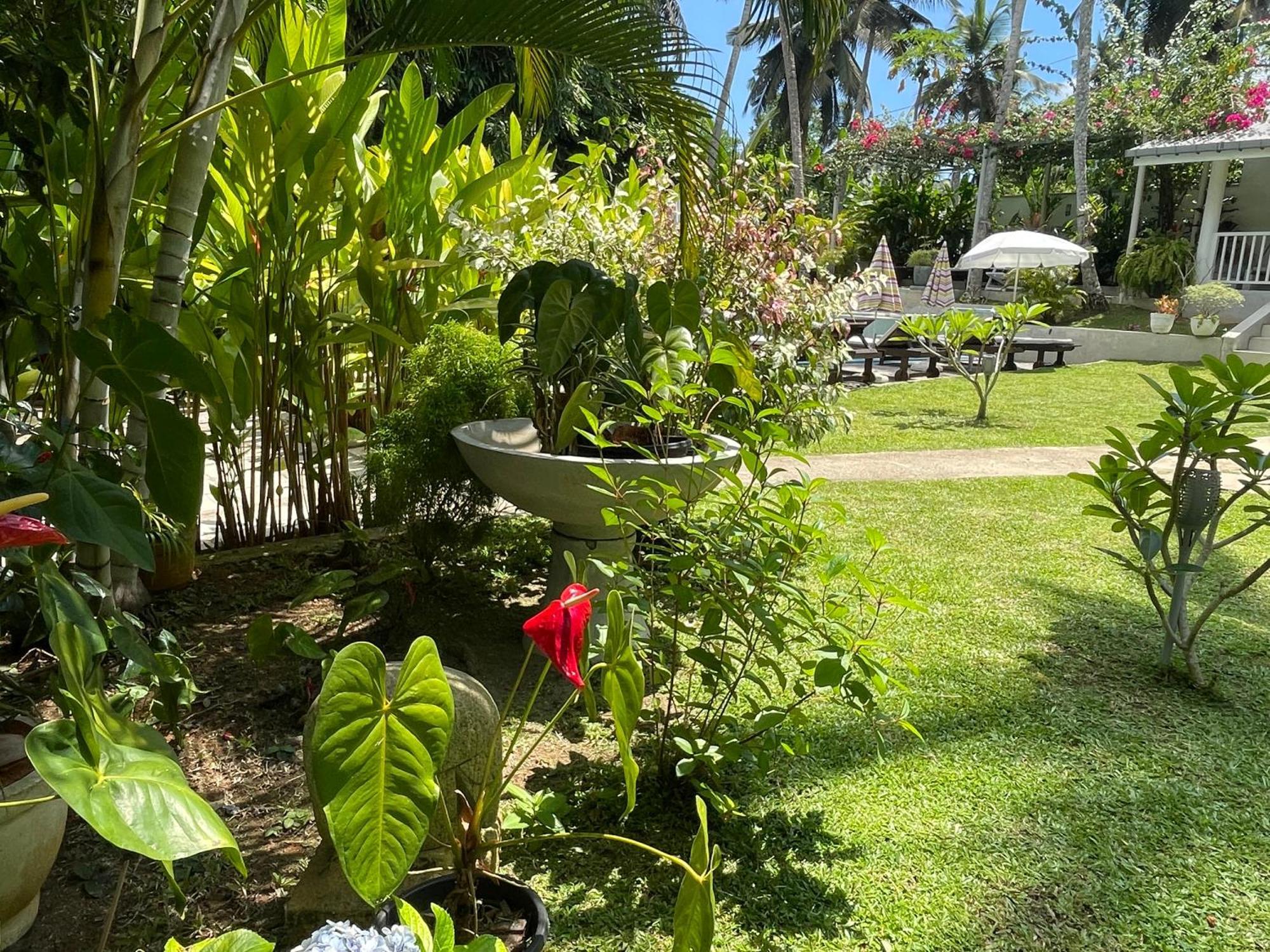 Plantation House Hotel Hikkaduwa Bagian luar foto